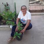 N. Salvação
